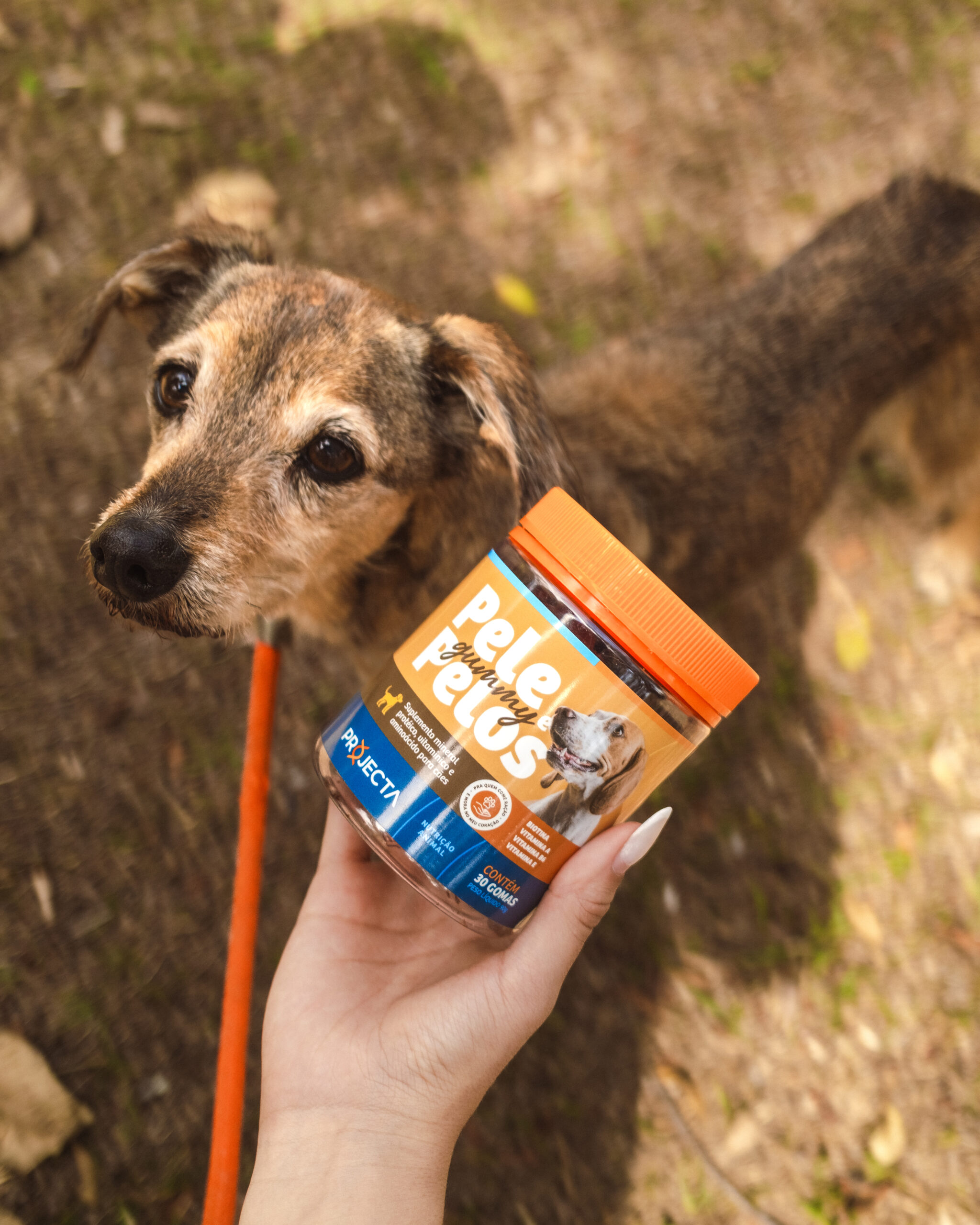 PROJECTA_DIÁRIA_SETEMBRO-17