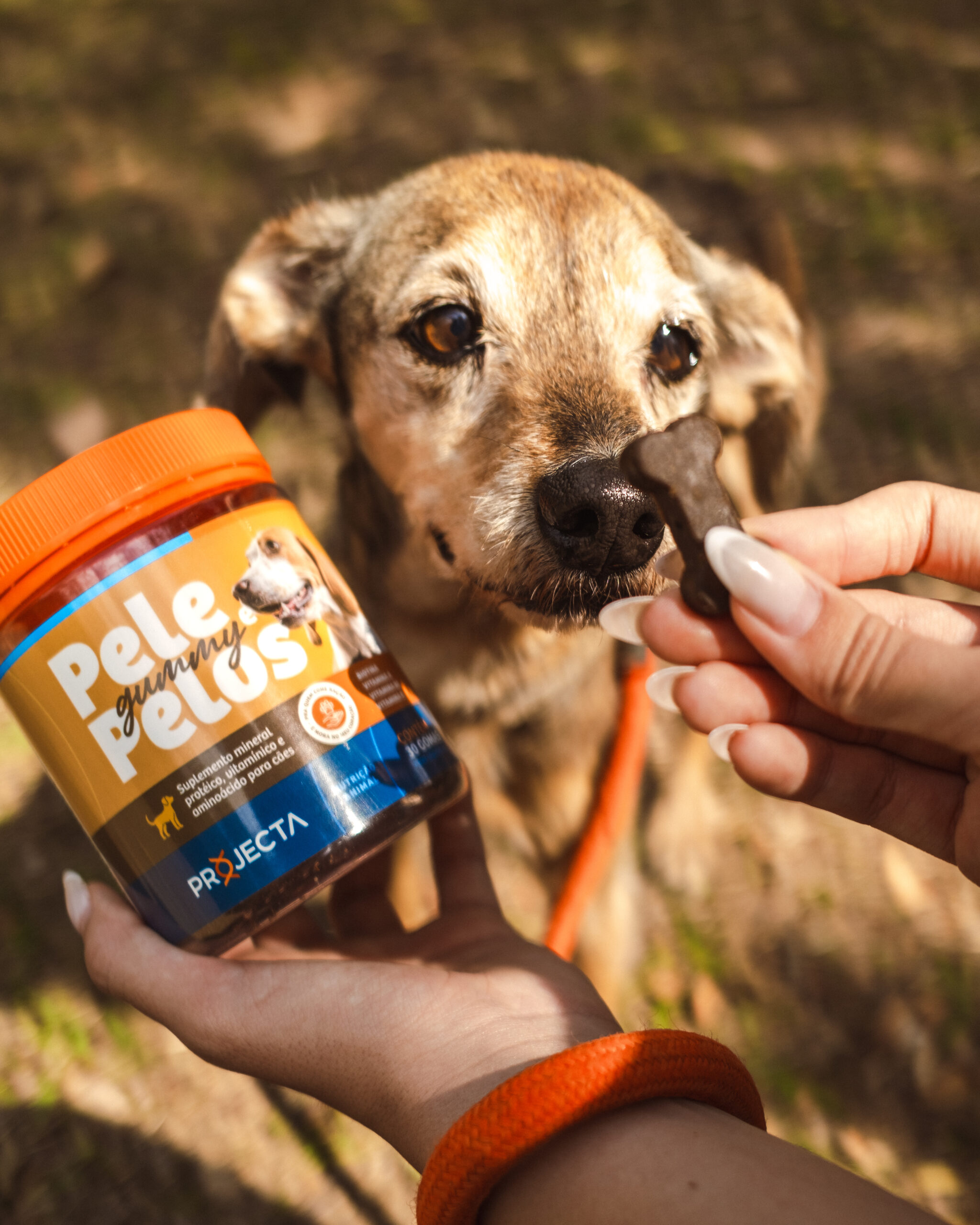 PROJECTA_DIÁRIA_SETEMBRO-22