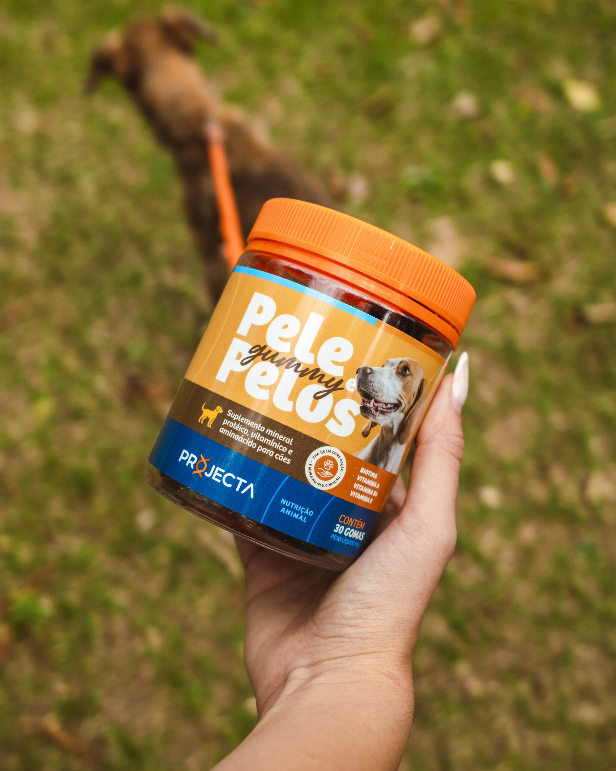 PROJECTA_DIÁRIA_SETEMBRO-26