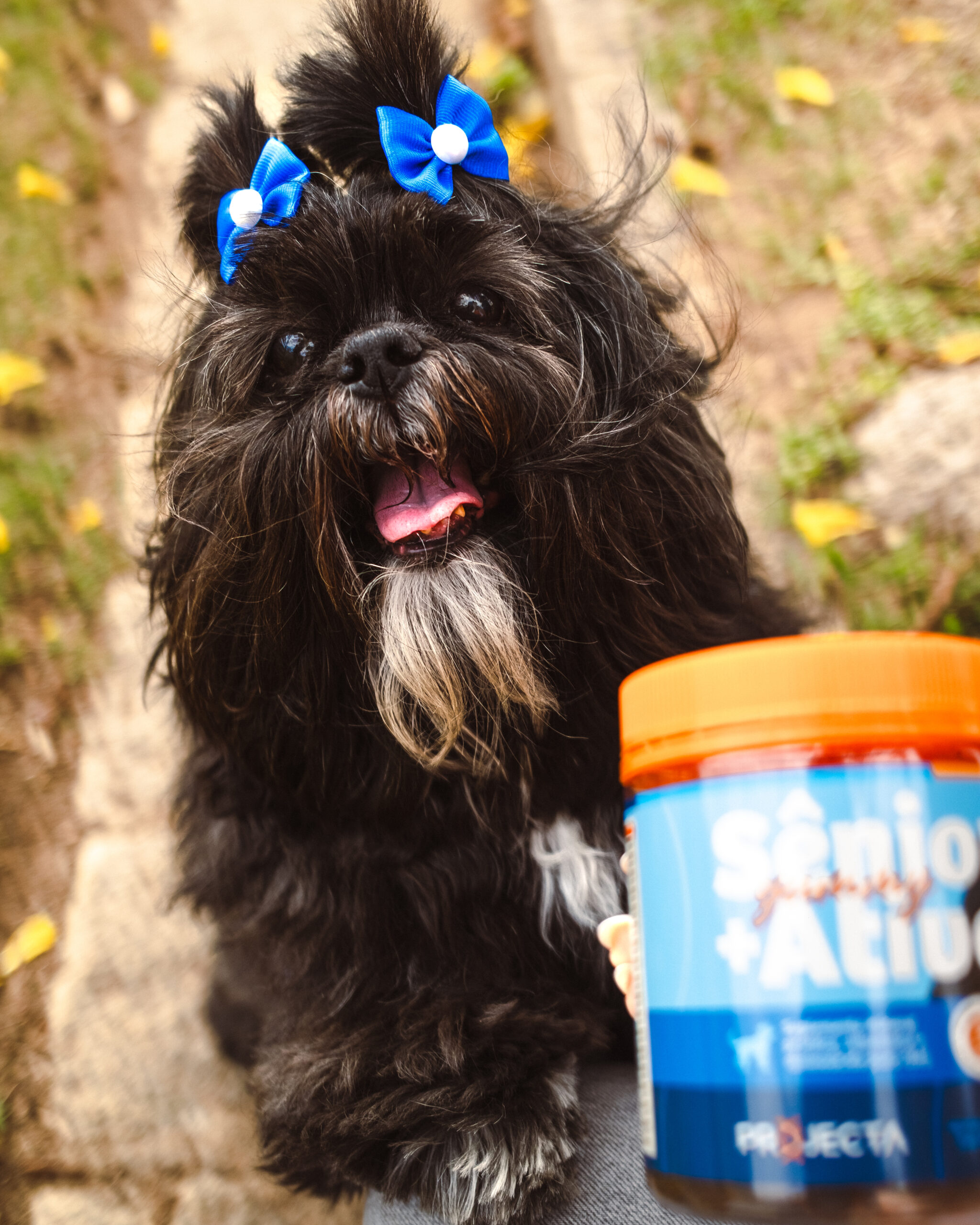 PROJECTA_DIÁRIA_SETEMBRO-4