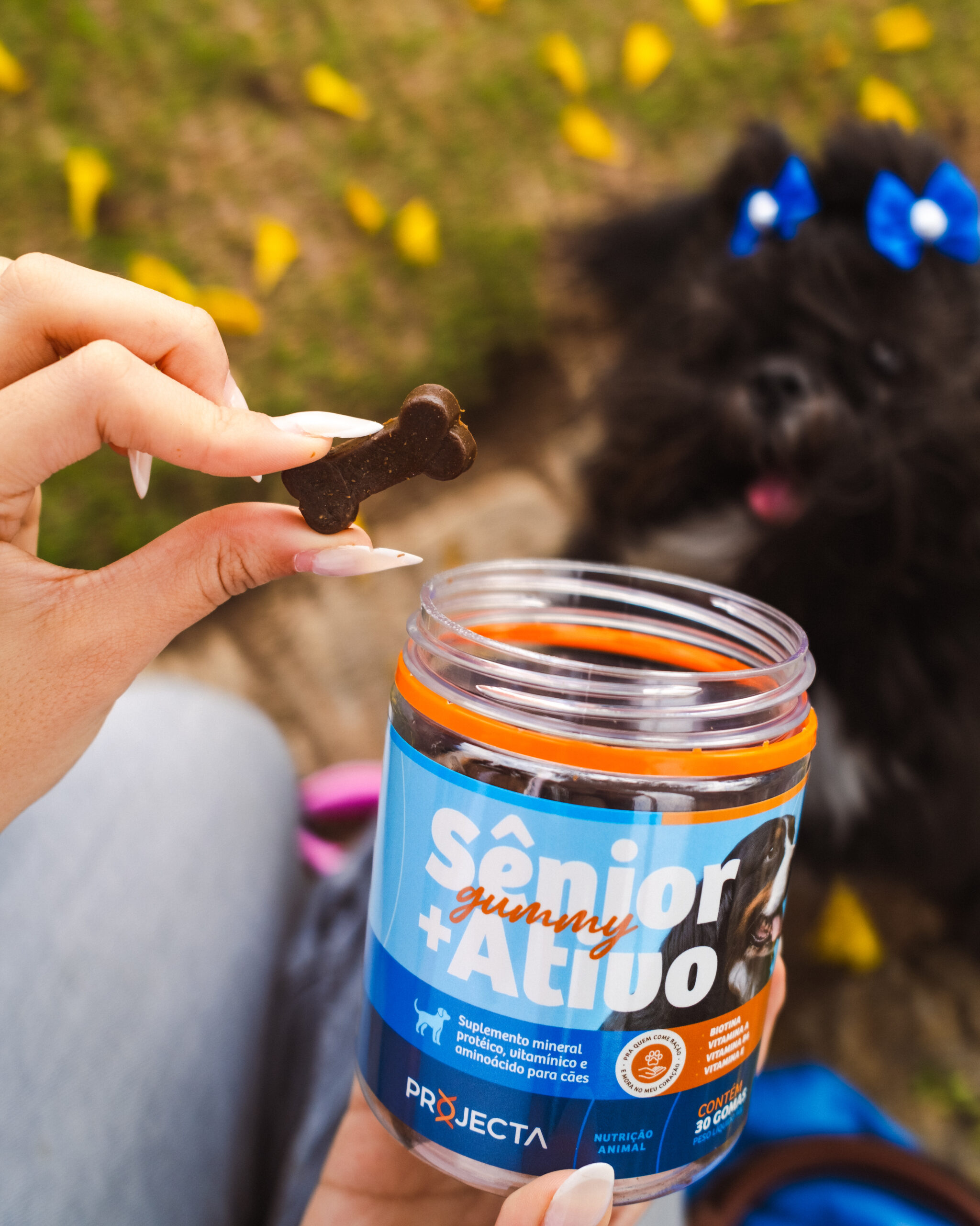 PROJECTA_DIÁRIA_SETEMBRO-6